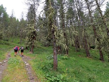 CDC_20170813_08493000