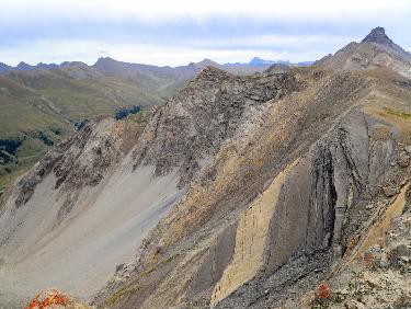 CDC_20170813_12120800