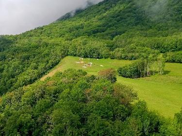 Ca monte de partout !