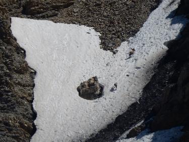 Chamois sous la Pointe de Serre