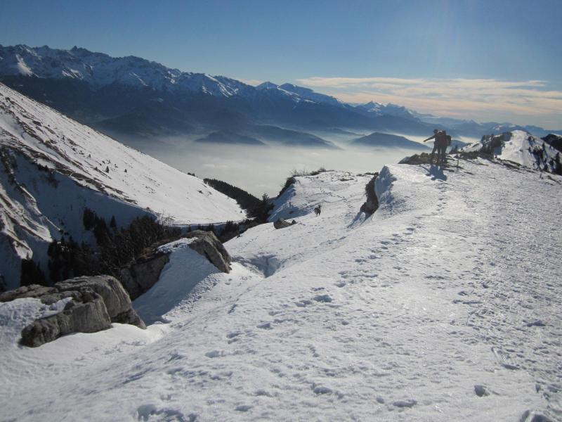 chamois