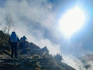 Changement de programme 