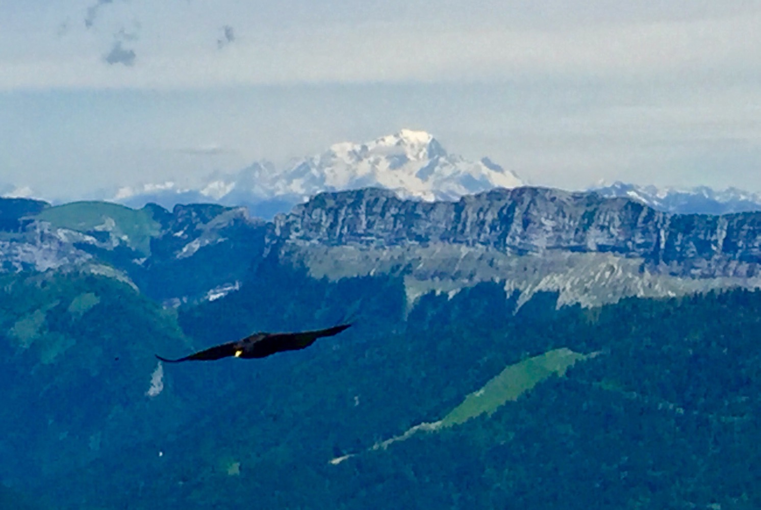 Charmant Som depuis ValombrÃ©, arÃªte BÃ©rard, Collet, crÃªte est, col de la Cochette
