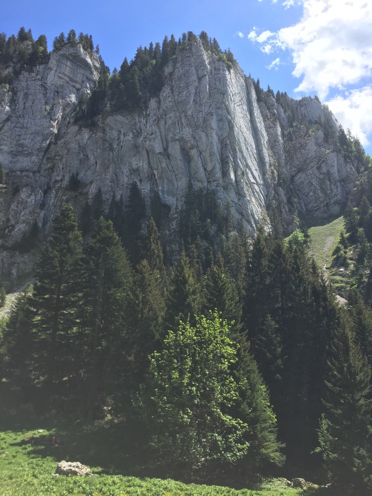 Charmant Som depuis Valombré, arrête Bérard, Collet, crête est, col de la Cochette