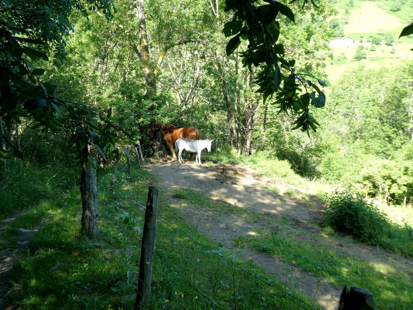 Charmante petite famille