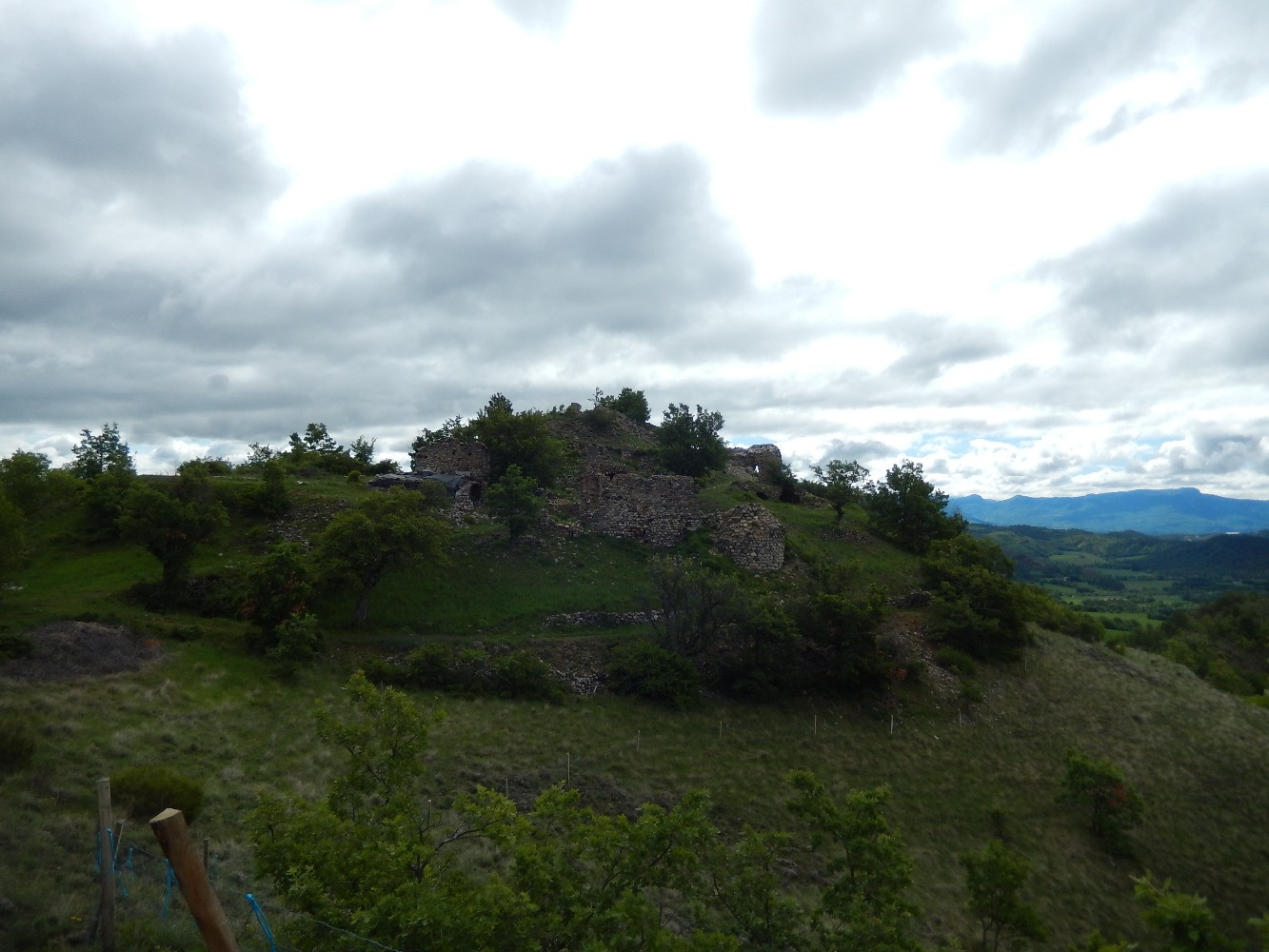 ChÃ¢teau d'Arzelliers