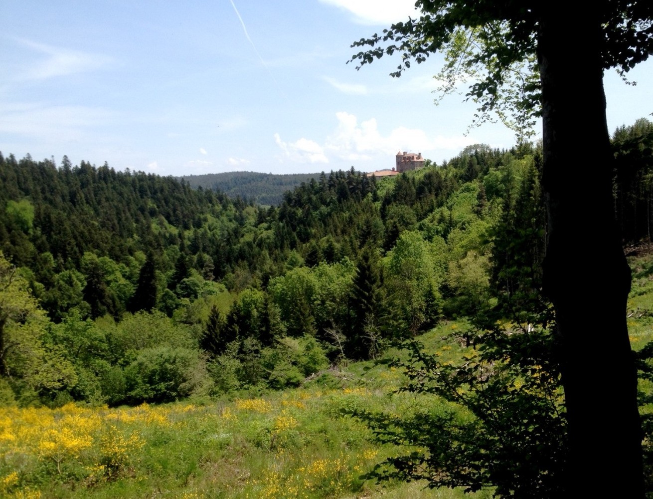 chÃ¢teau de CourbiÃ¨re