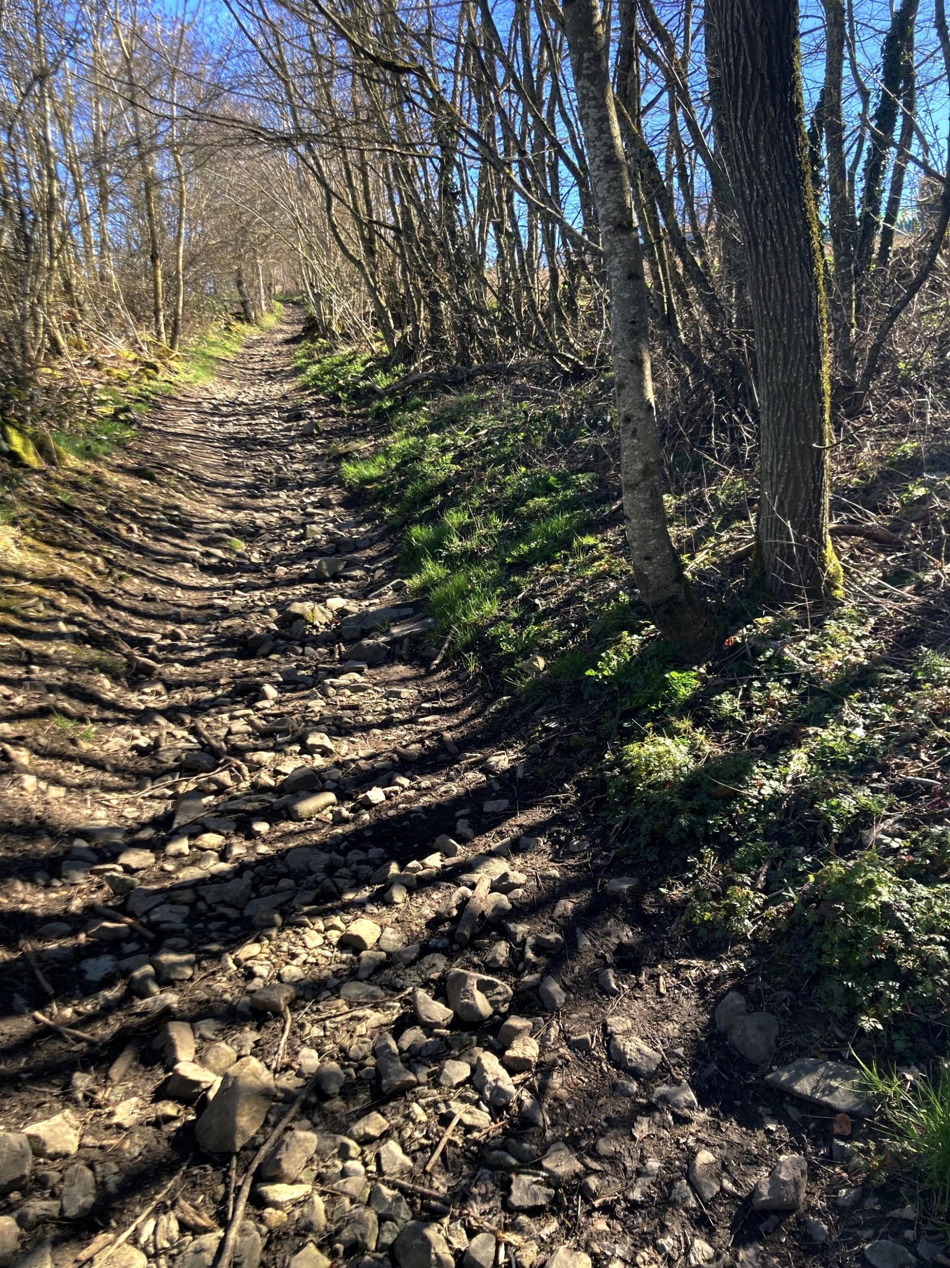 Chemin creux