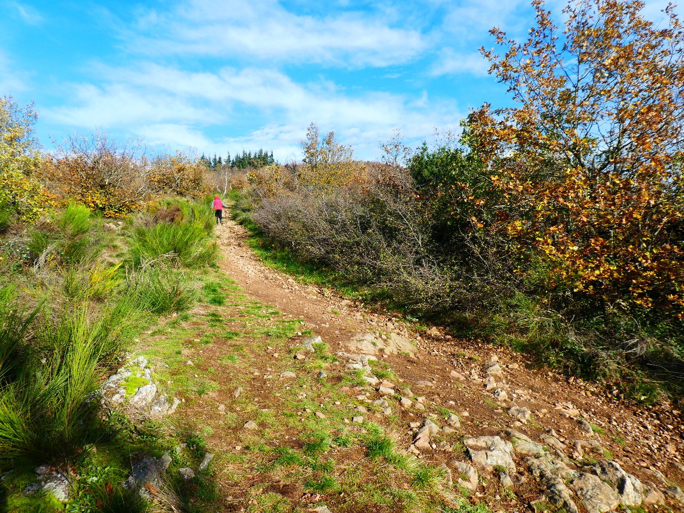 Chemin de montÃ©e au Mont Monnet