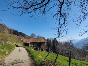 Le chemin des déracinés 