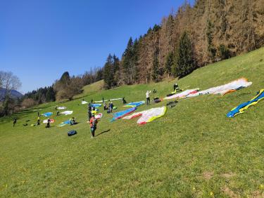 Le chemin des déracinés 