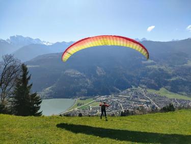 Le chemin des déracinés 