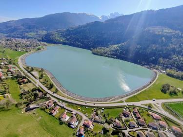 Le chemin des déracinés 