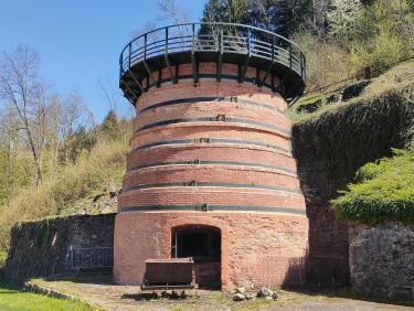 Le chemin des déracinés 