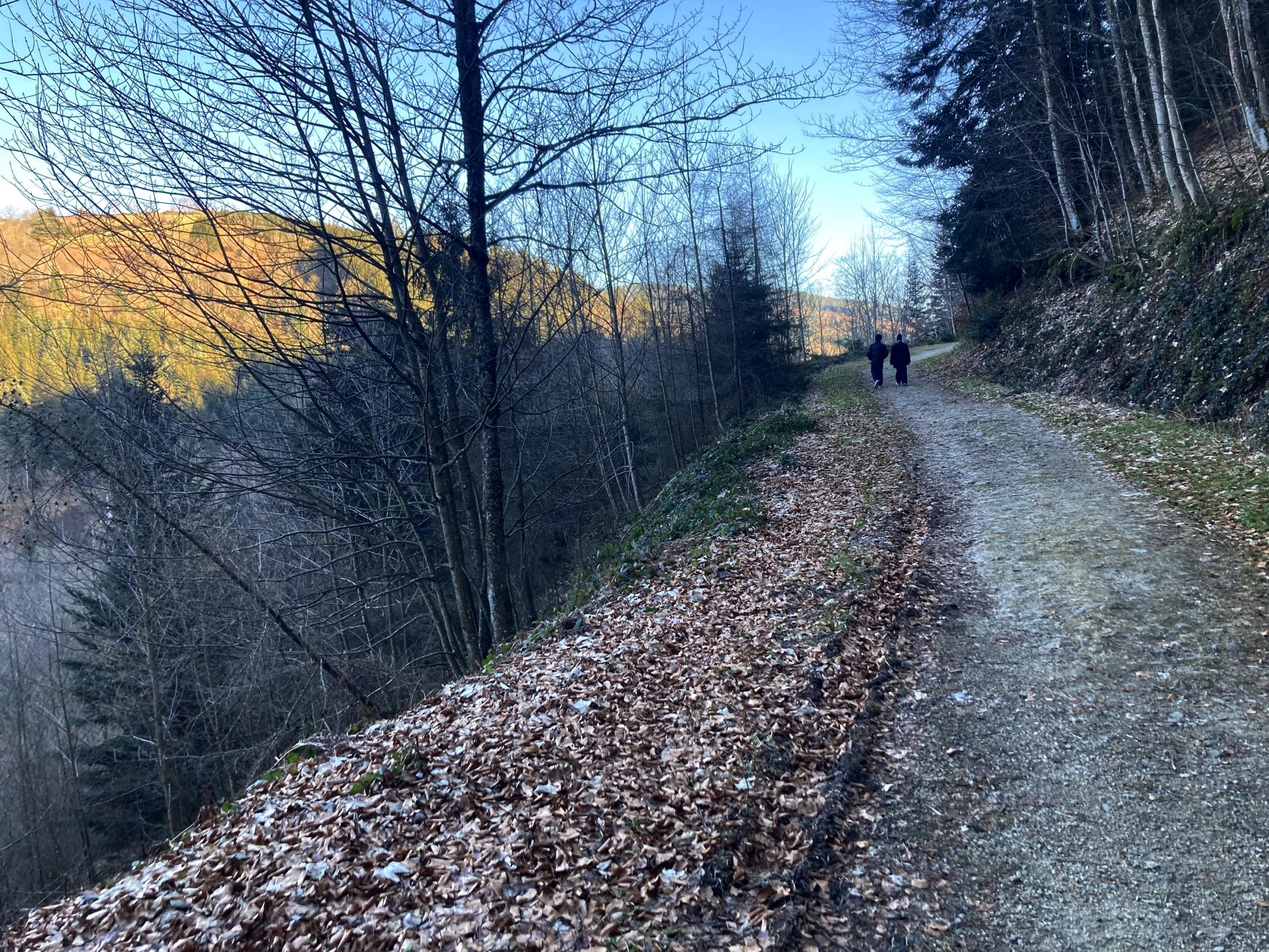 Chemin rive gauche...
