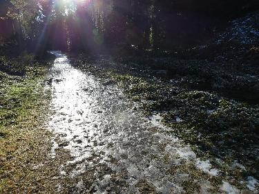 Chemin (verglacÃ©) vers le Pont Souvignet, rive droite du Furan