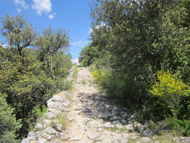 chemin dallé