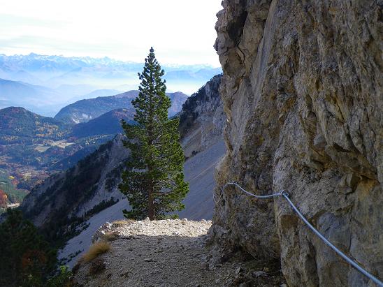 chemin sous le pas