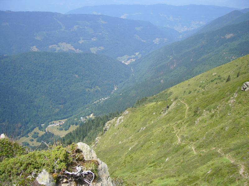 chemin vers l'Aulp Bernard