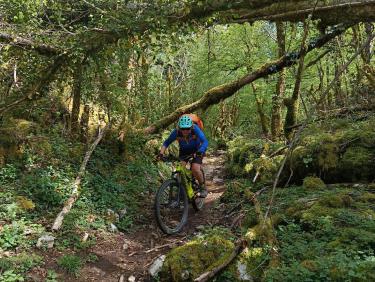 Les chemins du soleil en vtt (du Bugey à la mer)
