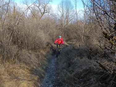 Les chemins du soleil en vtt (du Bugey à la mer)
