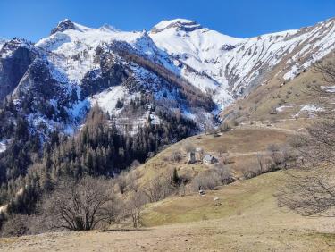 Les chevreuils du paradis