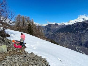 Les chevreuils du paradis