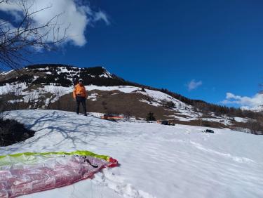 Les chevreuils du paradis