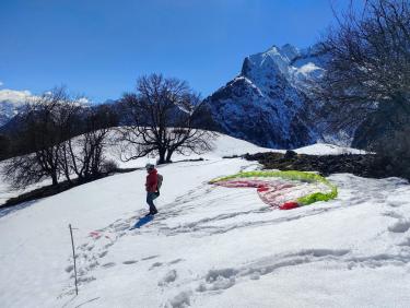 Les chevreuils du paradis