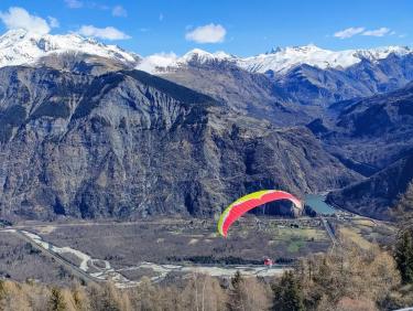 Les chevreuils du paradis