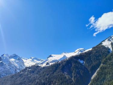 Les chevreuils du paradis