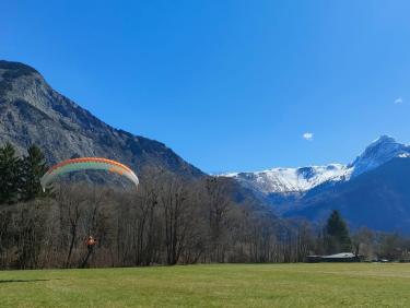 Les chevreuils du paradis