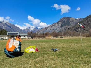 Les chevreuils du paradis