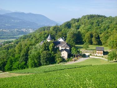 Domaine du vin de Savoie : on y aime !