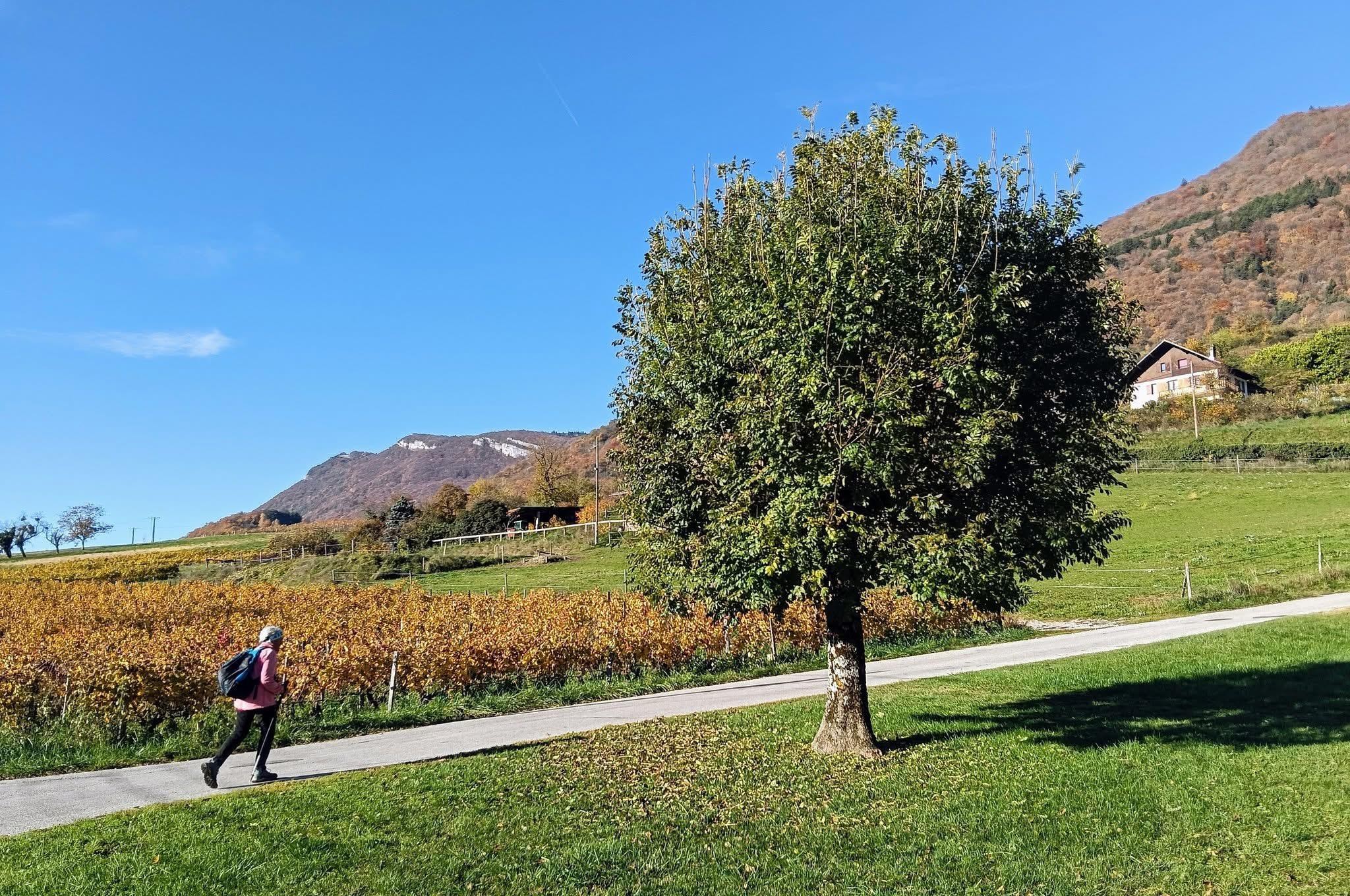 Le clan pyrénéen des UL5