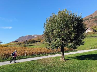 Le clan pyrénéen des UL5
