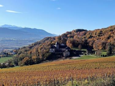 Le clan pyrénéen des UL5