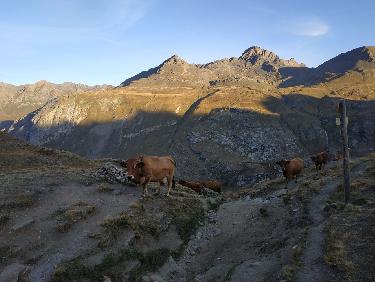 col de l&apos;Ouille du midi