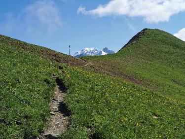 Col de la Lauze et le MB
