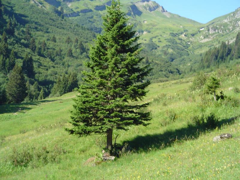 col de la Louze