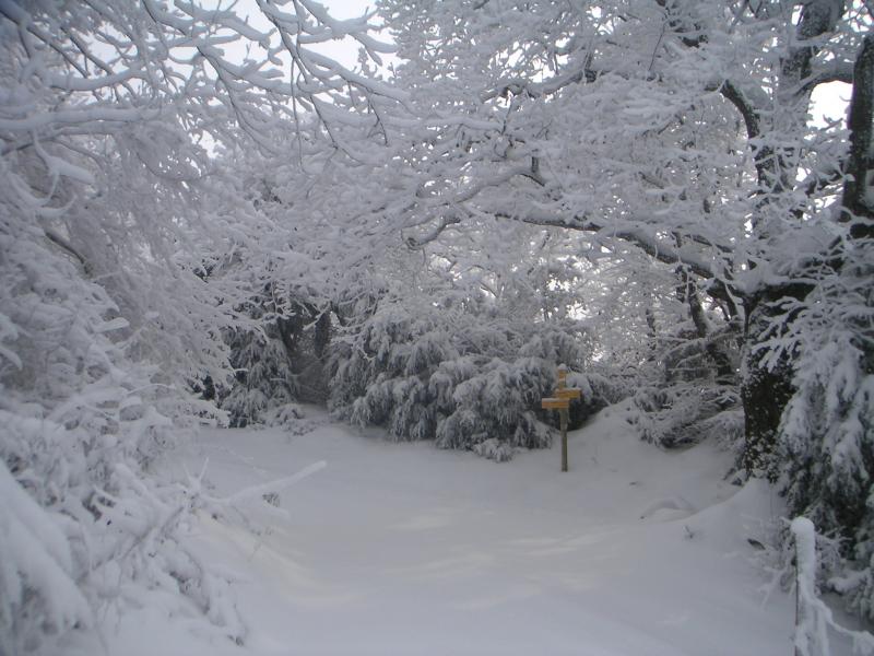 col de la Tençon