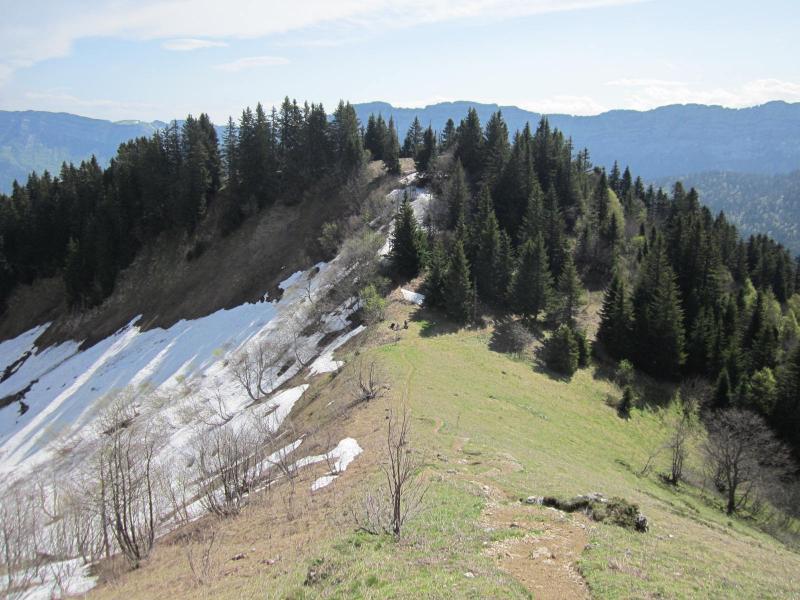 col des Aures