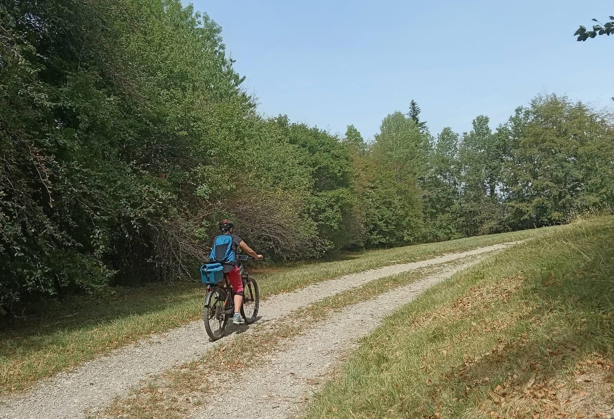 Colchiques dans les prés 