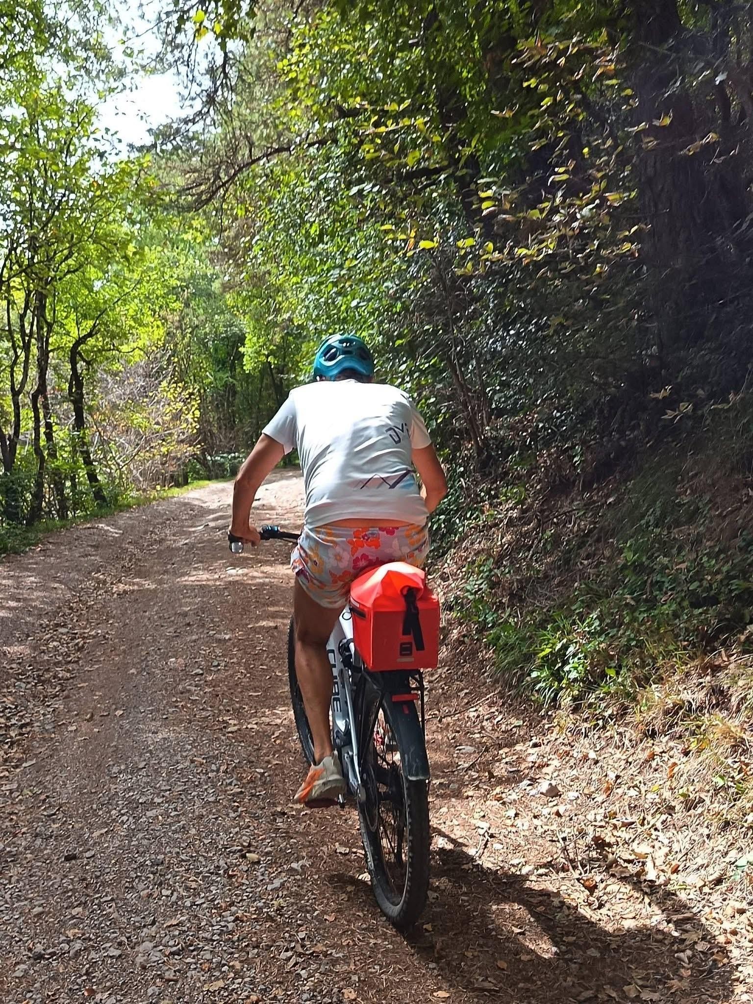 Colchiques dans les prés 