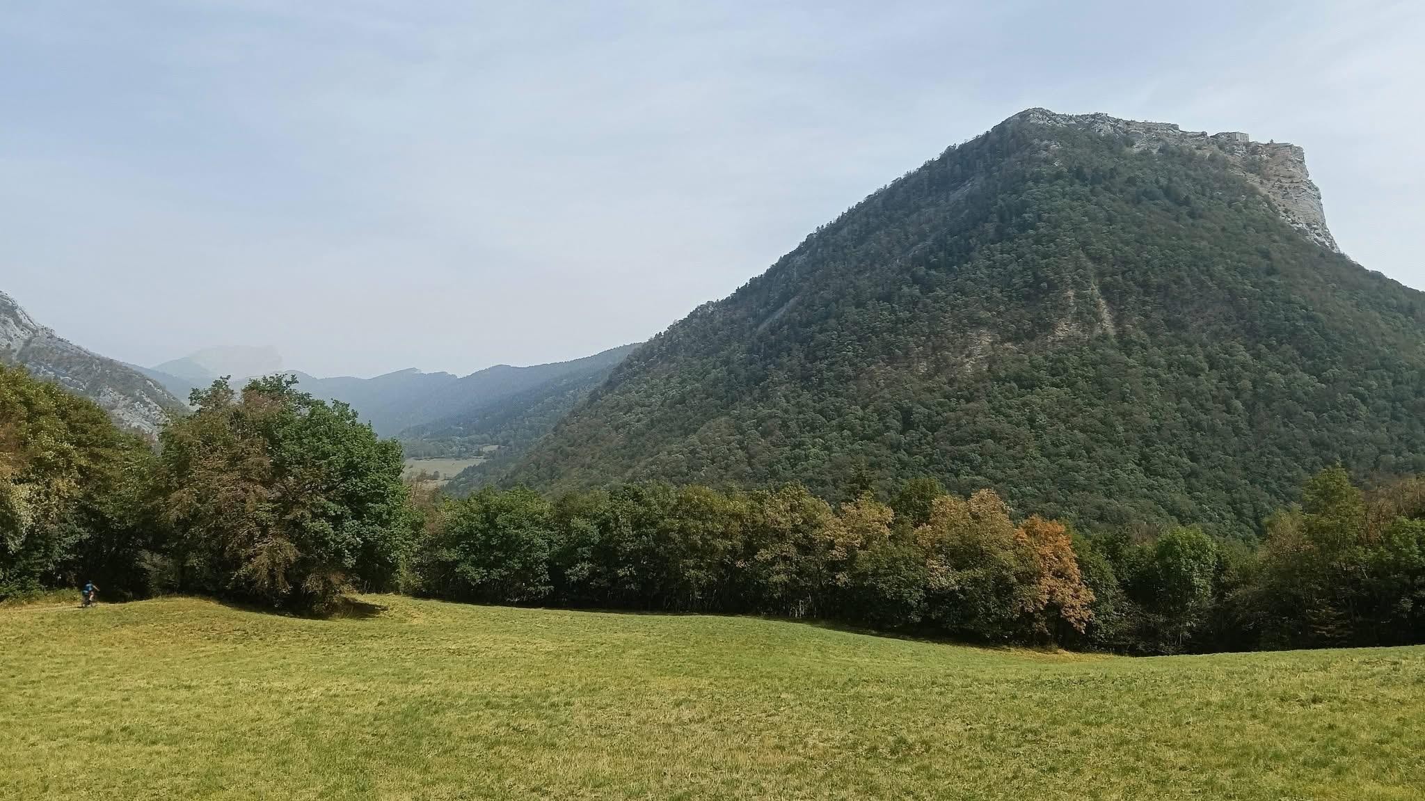 Colchiques dans les prés 