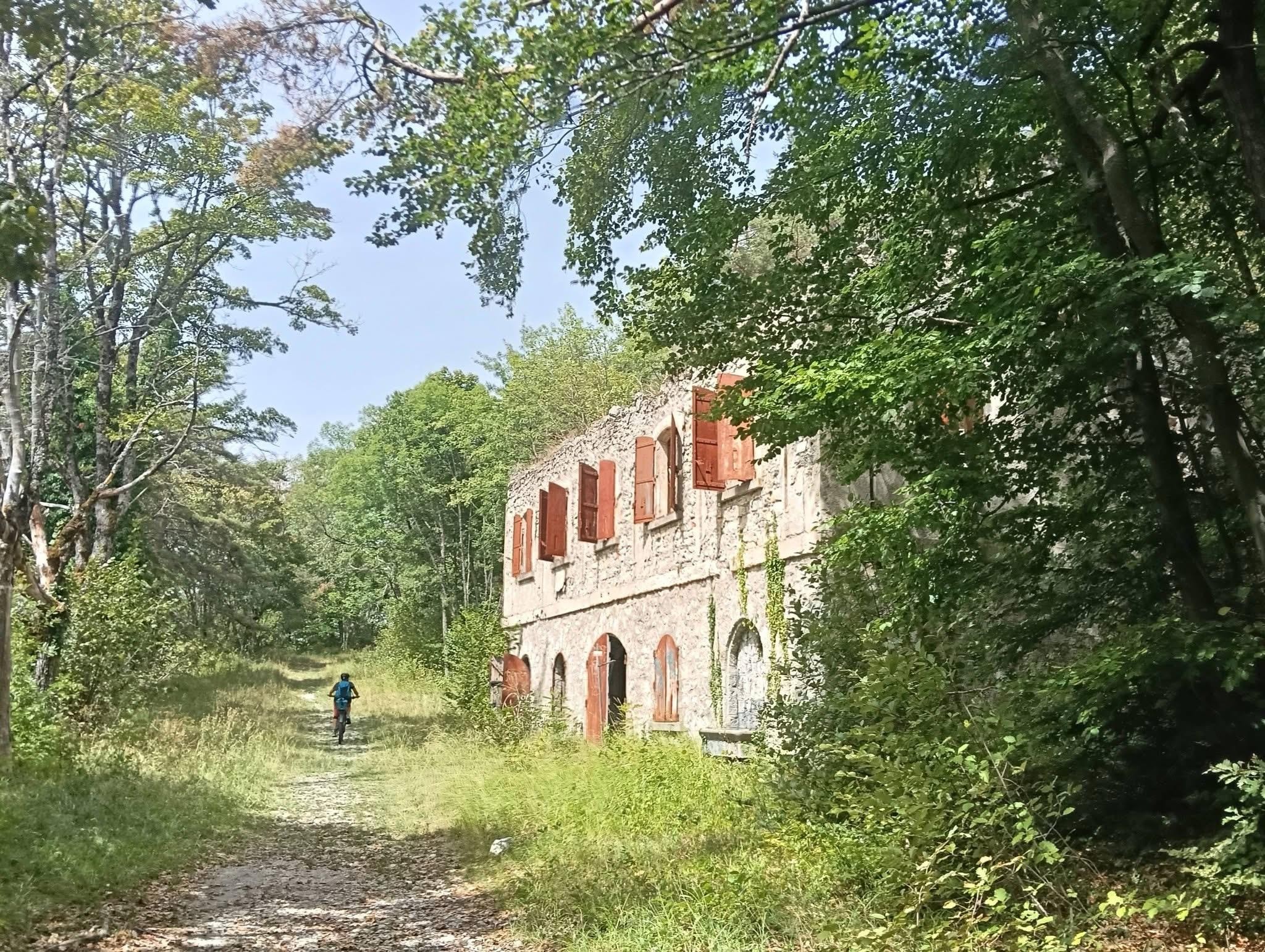Colchiques dans les prés 