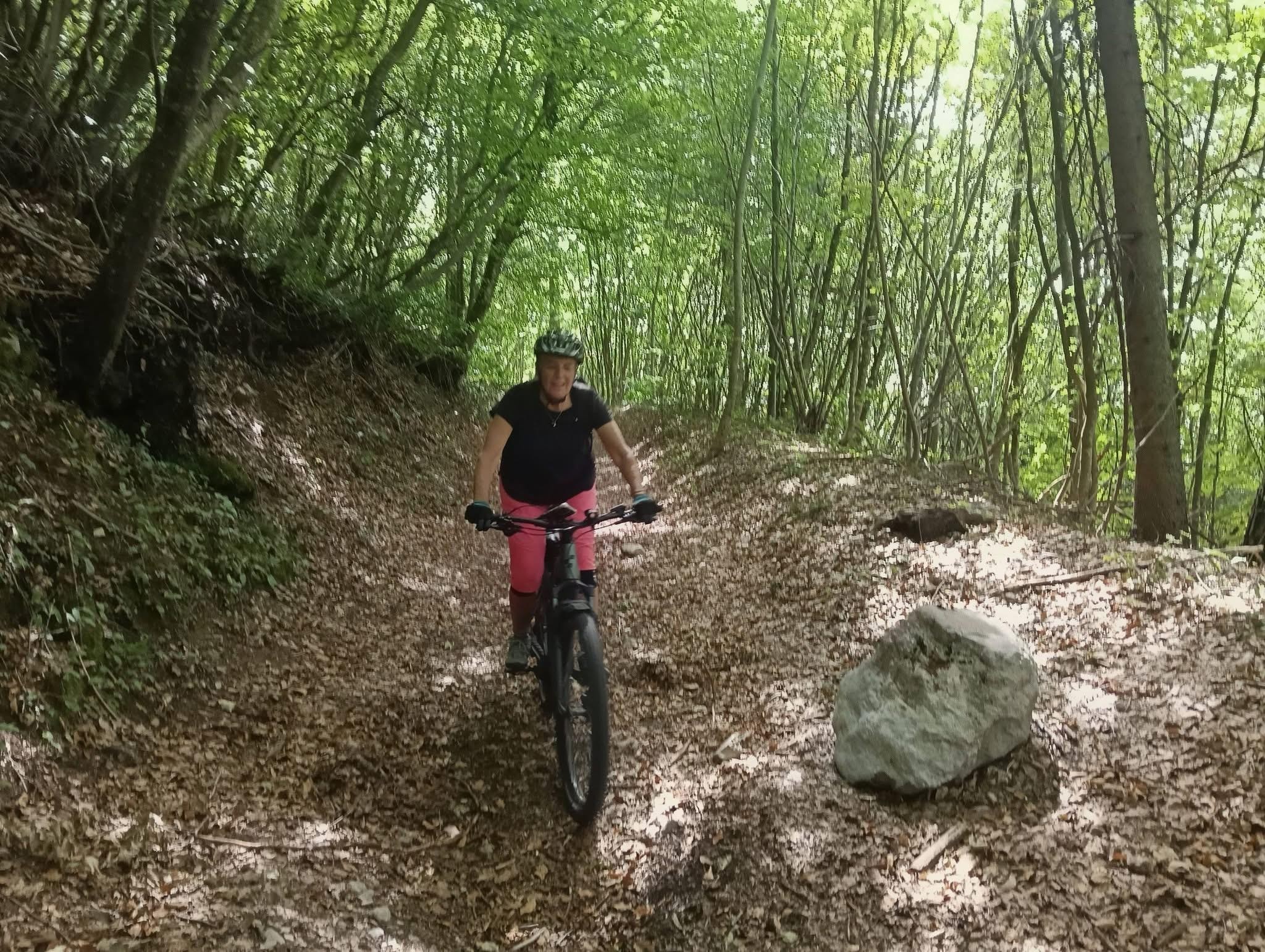 Colchiques dans les prés 