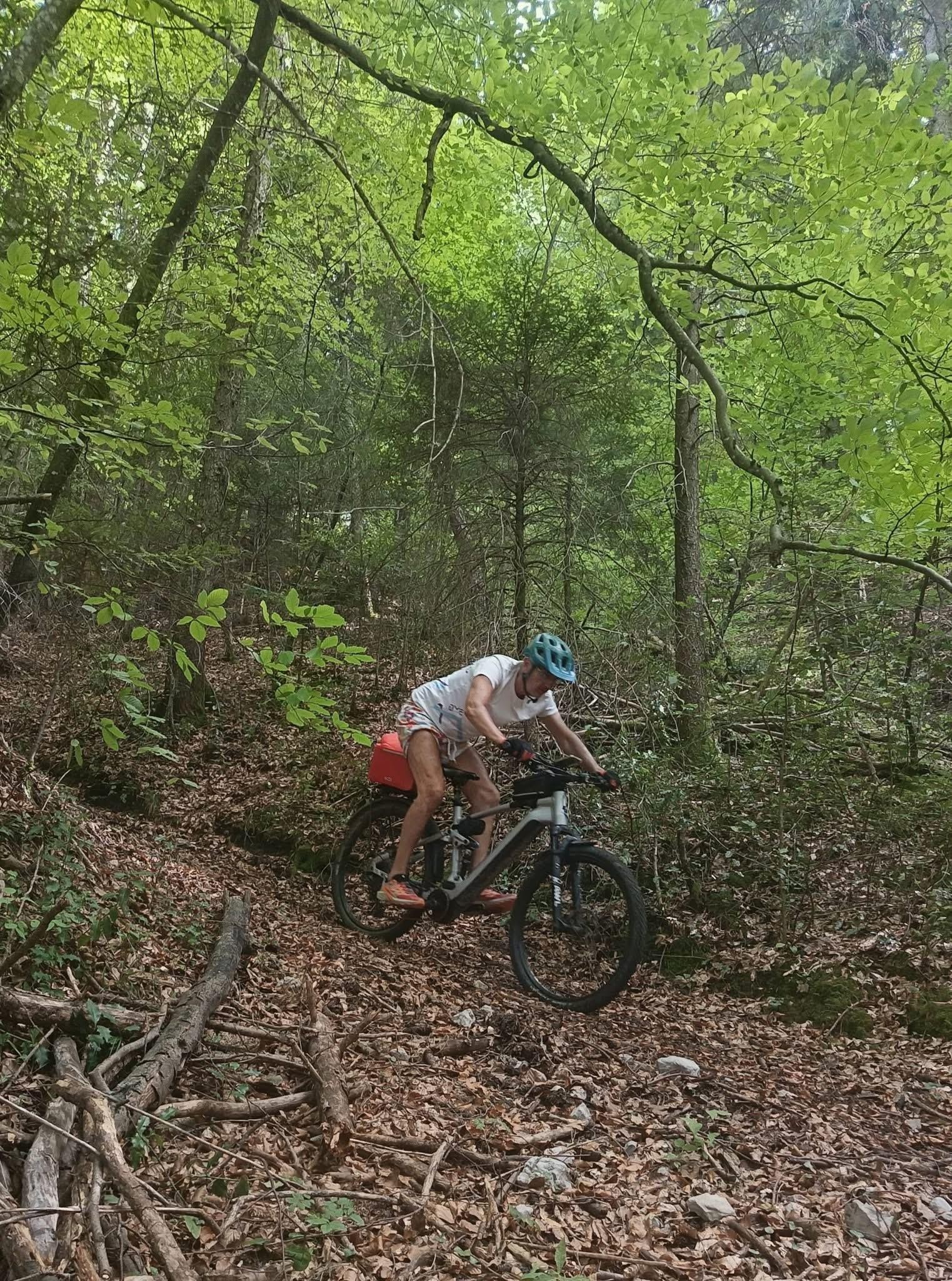 Colchiques dans les prés 