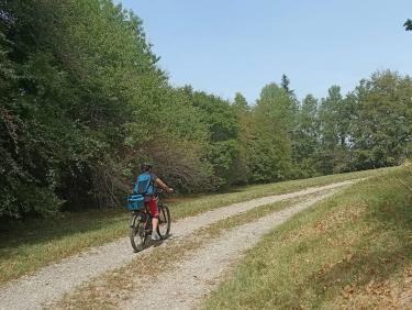 Colchiques dans les prés 