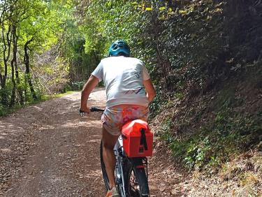 Colchiques dans les prés 